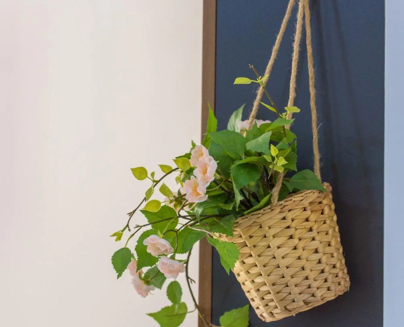 D-Delight Apartment Zadar Croatia